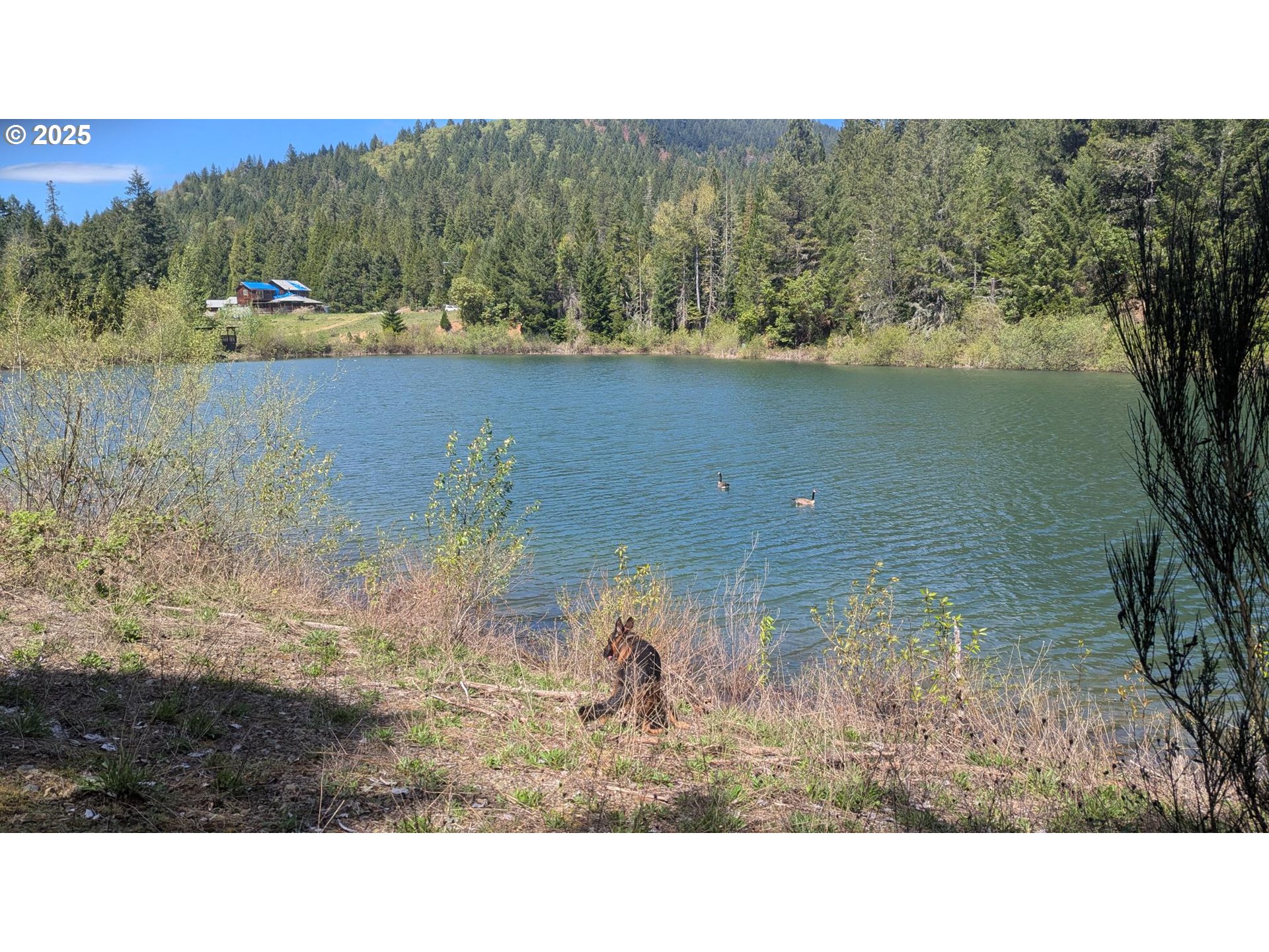 2999 Speaker Road Wolf Creek, OR 97497 - Photo 11 of 29