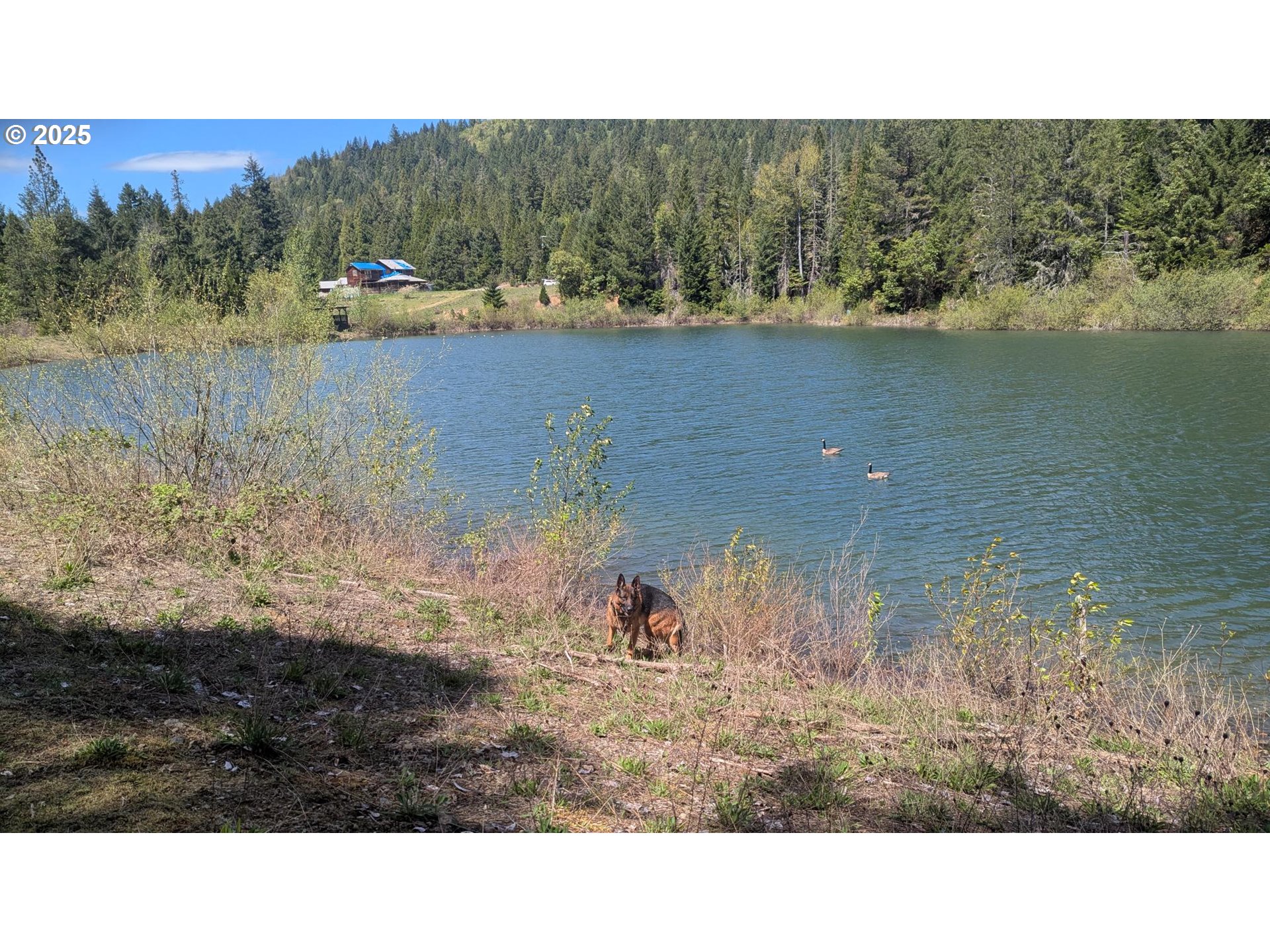 2999 Speaker Road Wolf Creek, OR 97497 - Photo 12 of 29 a black and white photo of a lake