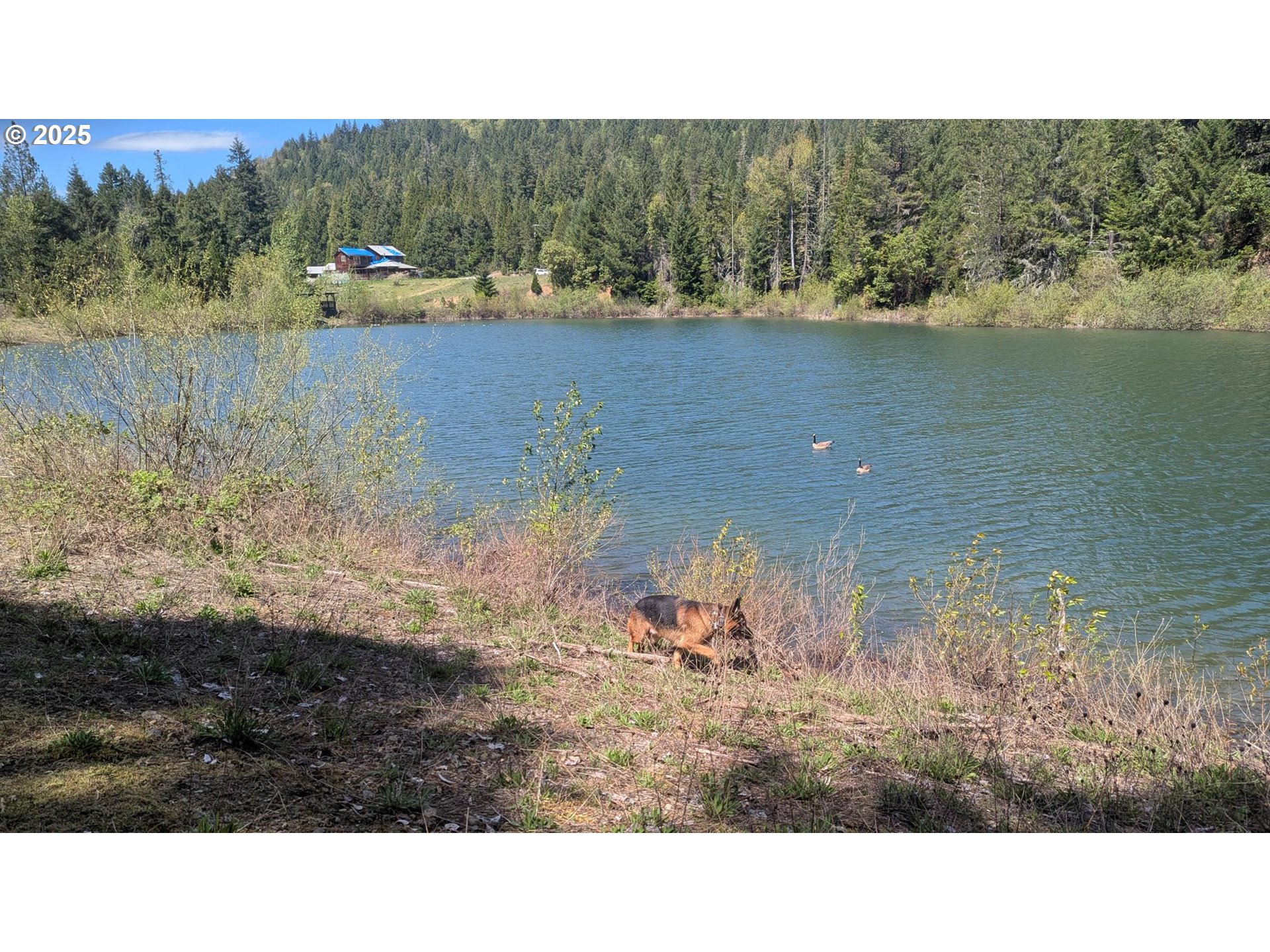 2999 Speaker Road Wolf Creek, OR 97497 - Photo 13 of 29 a view of a lake with a mountain in the background