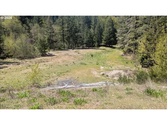 $995,000 | 2999 Speaker Road, Wolf Creek, OR 97497