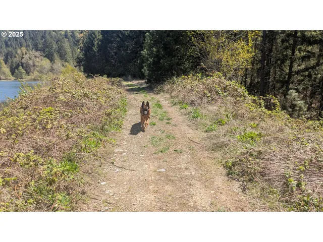 $995,000 | 2999 Speaker Road, Wolf Creek, OR 97497