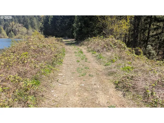 $995,000 | 2999 Speaker Road, Wolf Creek, OR 97497