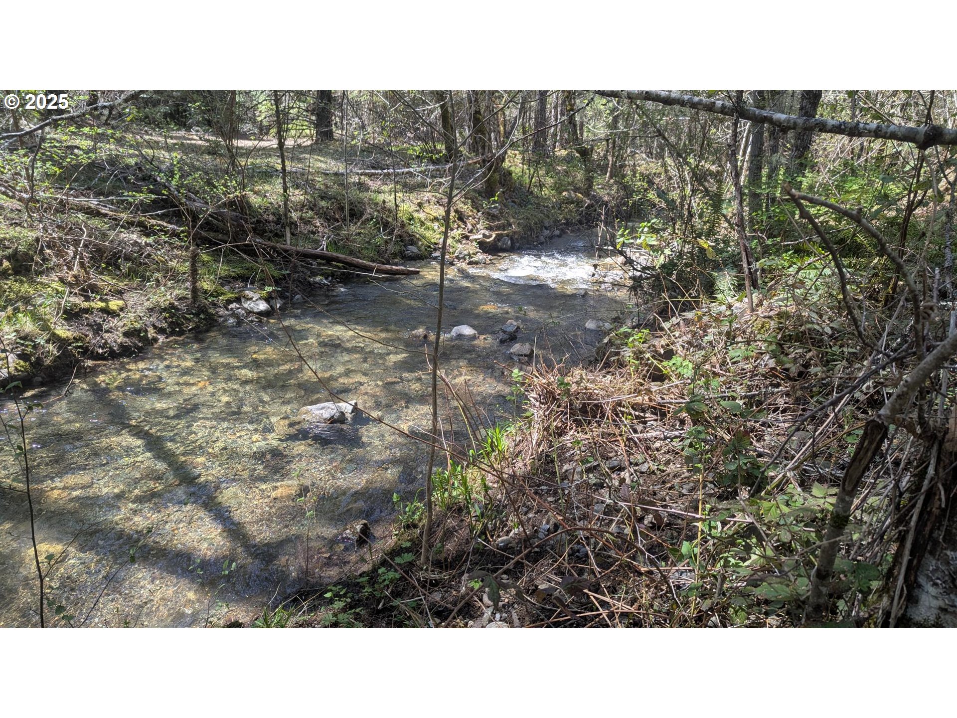 2999 Speaker Road Wolf Creek, OR 97497 - Photo 26 of 29 a black and white photo of a house