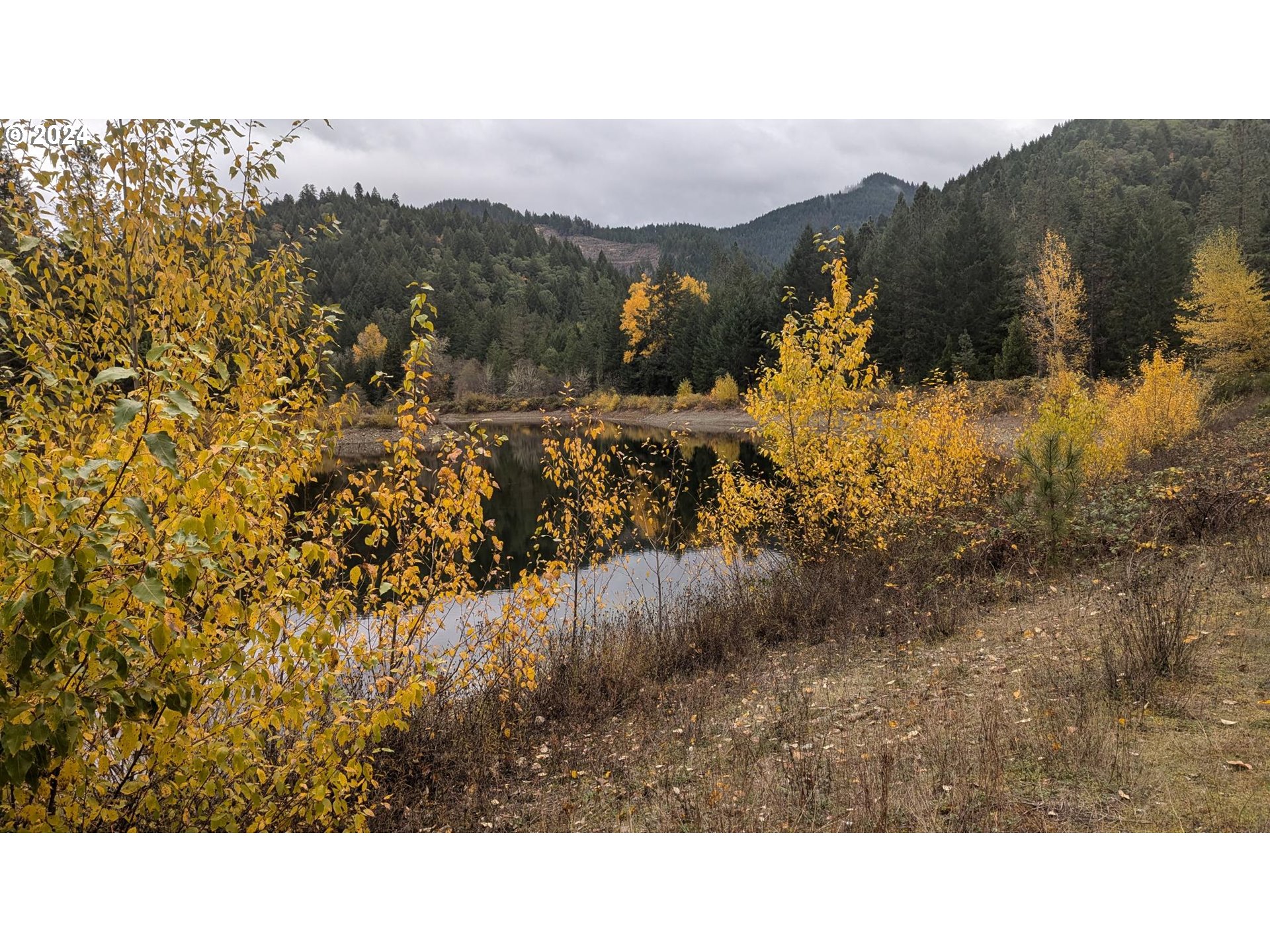 2999 Speaker Road Wolf Creek, OR 97497 - Photo 5 of 29 a black and white photo of a house