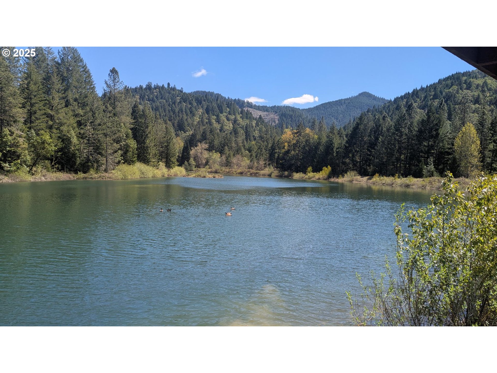 2999 Speaker Road Wolf Creek, OR 97497 - Photo 9 of 29 a black and white photo of a lake