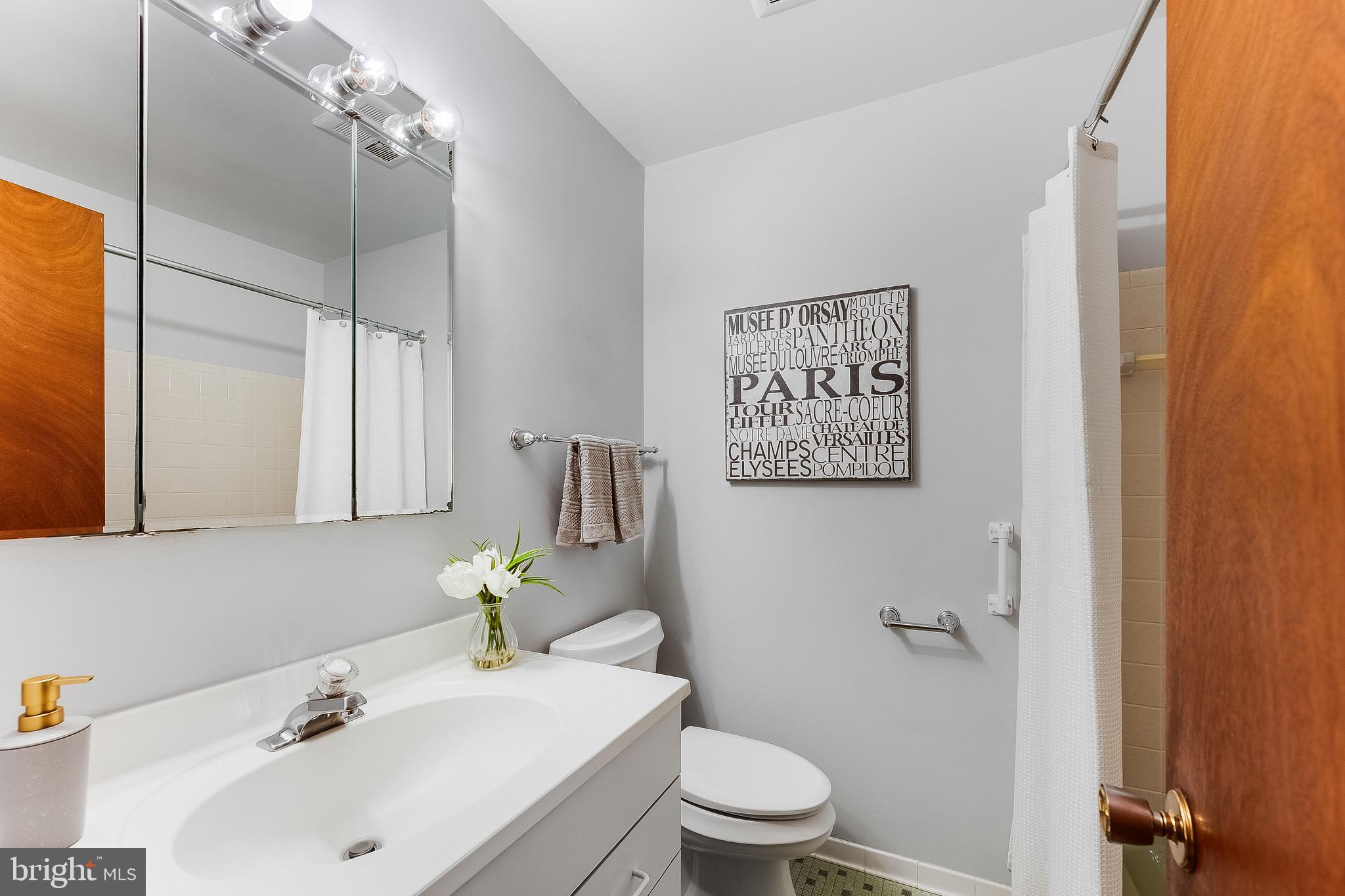 9528 Rockport Road Vienna, VA 22180 - Photo 27 of 49 Hall Bath