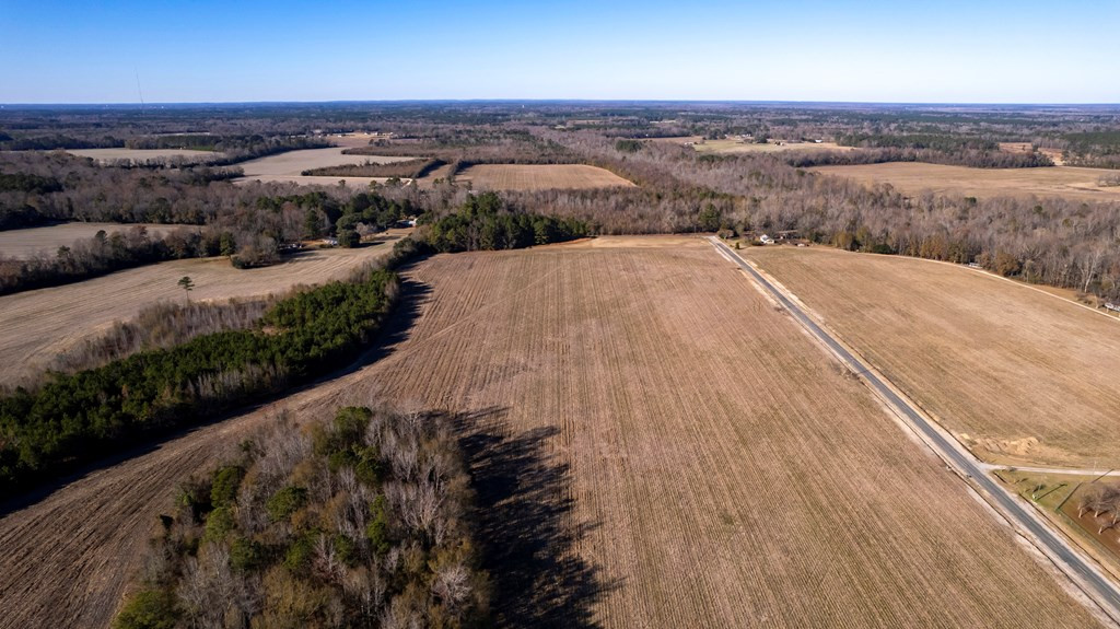 2400 Ike Brunson Road Alcolu, SC 29001 - Photo 14 of 19 Gallery Image 14