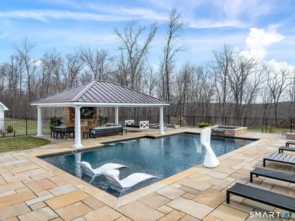 a view of a swimming pool with lounge chair