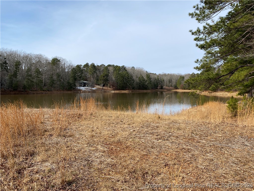 Breezeway Lane Carthage, NC 28327 - Photo 18 of 18