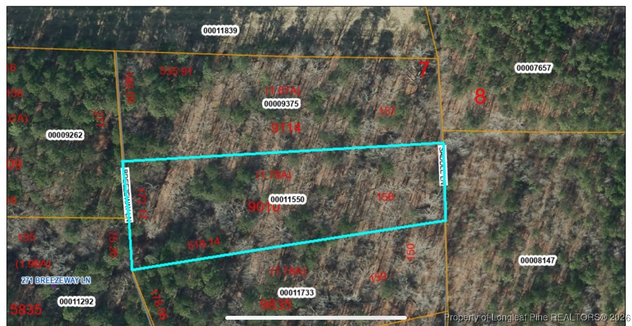 Breezeway Lane Carthage, NC 28327 - Photo 3 of 18