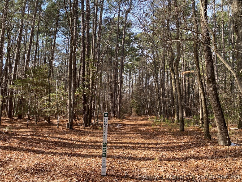 Breezeway Lane Carthage, NC 28327 - Photo 4 of 18