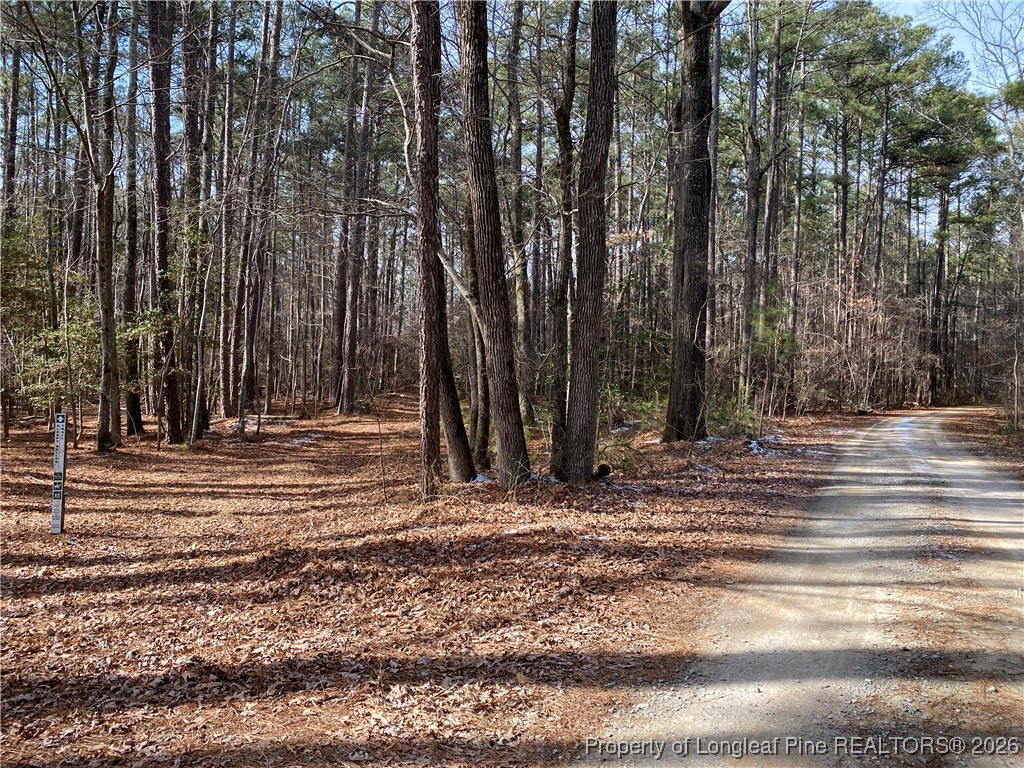 Breezeway Lane Carthage, NC 28327 - Photo 5 of 18
