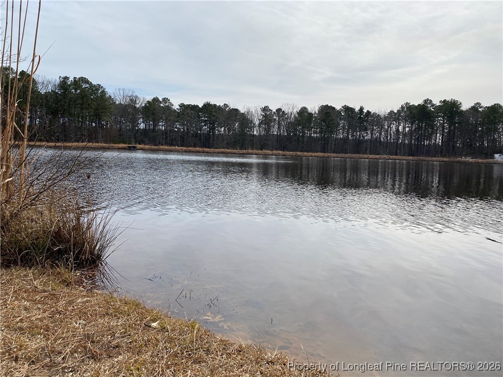 Breezeway Lane Carthage, NC 28327 - Photo 7 of 18