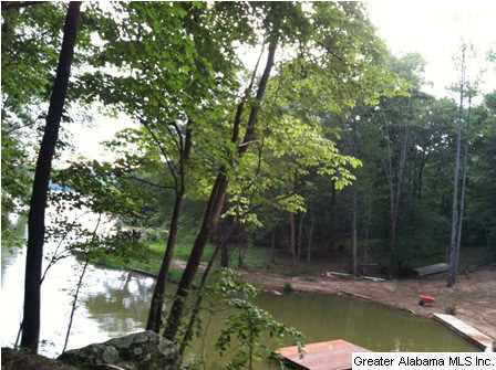 Mohawk Trail, Unit 36 Ohatchee, AL 36271 - Photo 7 of 24