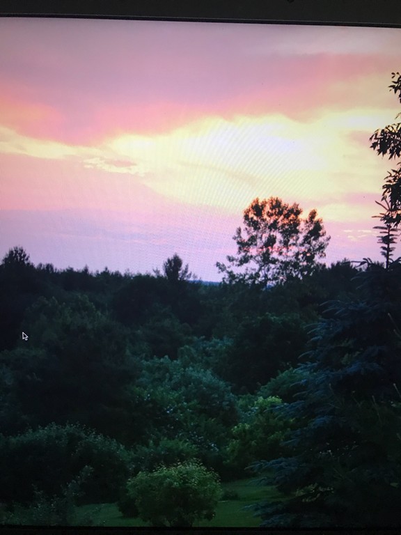 29 Henry Marsh Road Dudley, MA 01571 - Photo 27 of 27