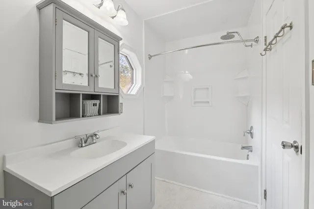 a view of backyard and tree