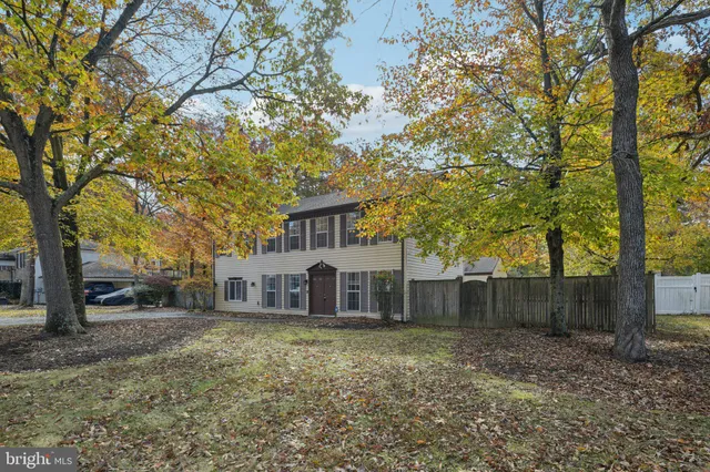 front view of a house with a tiny house and a large tree