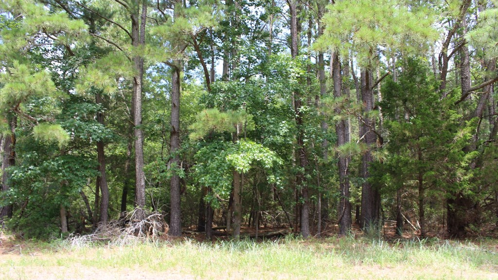 Lot 6 Hopkins Road, Unit 6A Parksley, VA 23421 - Photo 11 of 11