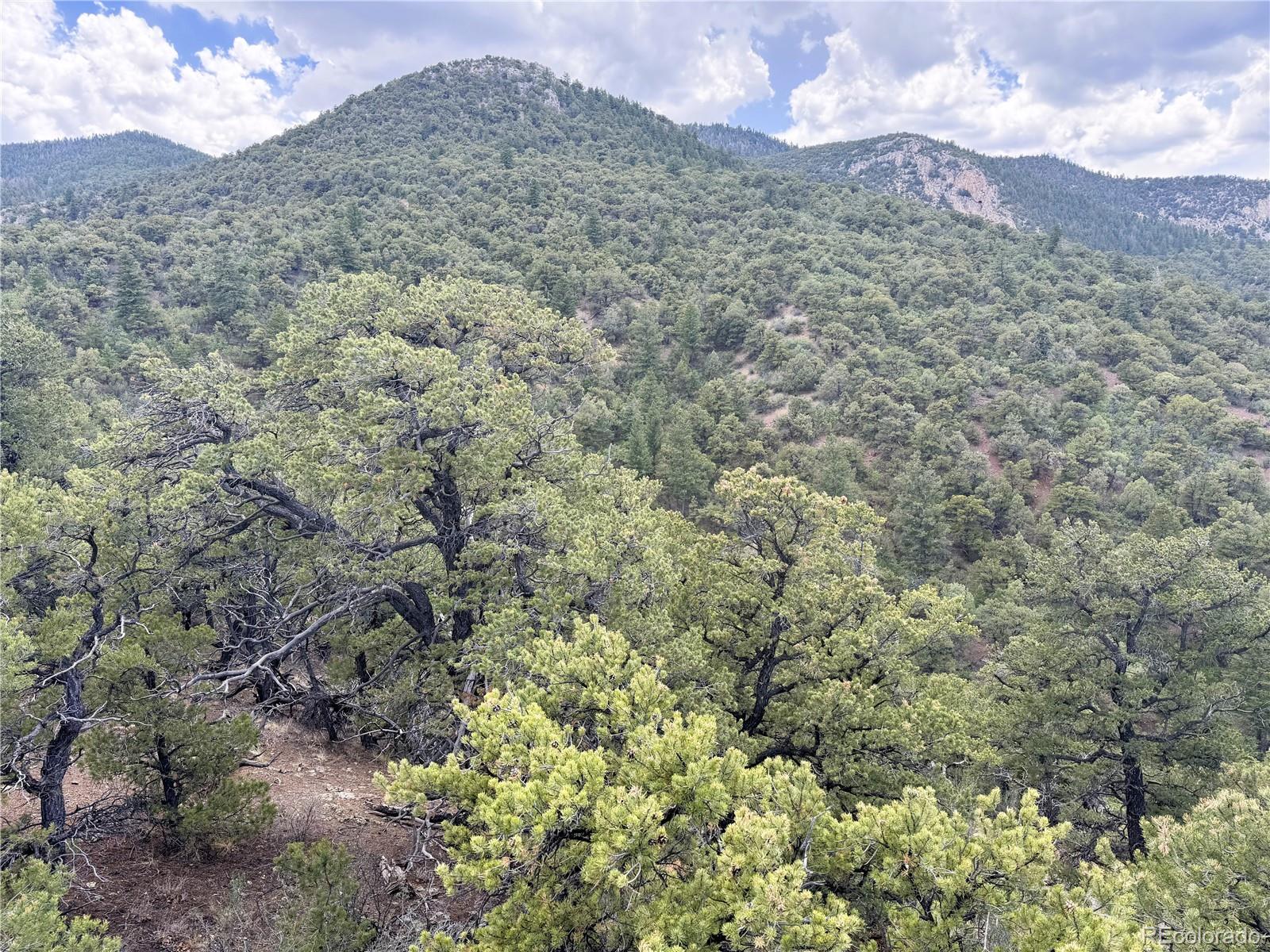 3282 Lower Camp Road Salida, CO 81201 - Photo 15 of 25
