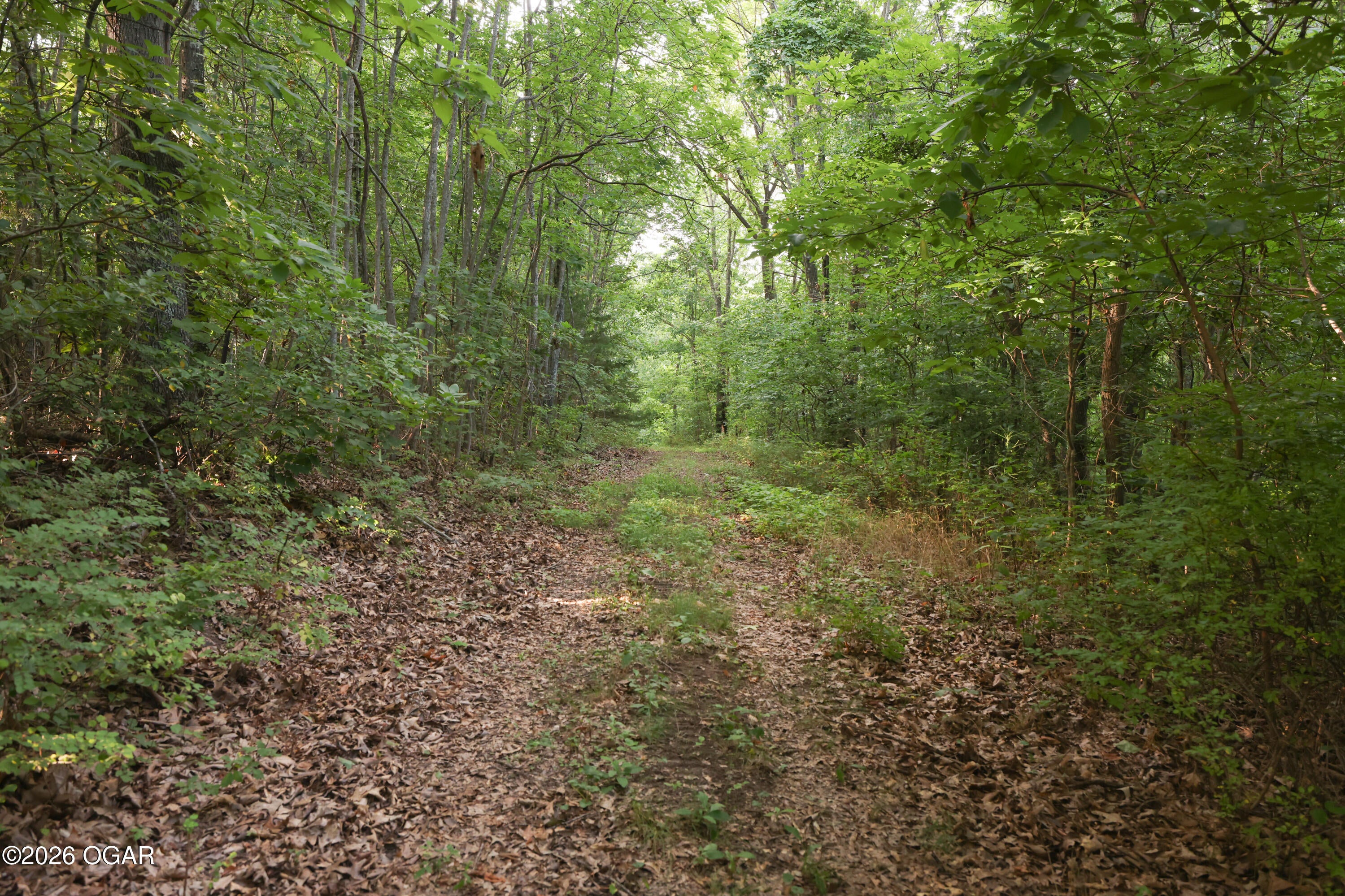 861 Tilden Road Galena, MO 65656 - Photo 17 of 67 Gallery Image 17