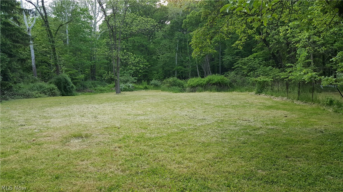 6770 Morley Road Painesville, OH 44077 - Photo 3 of 16 Gallery Image 3