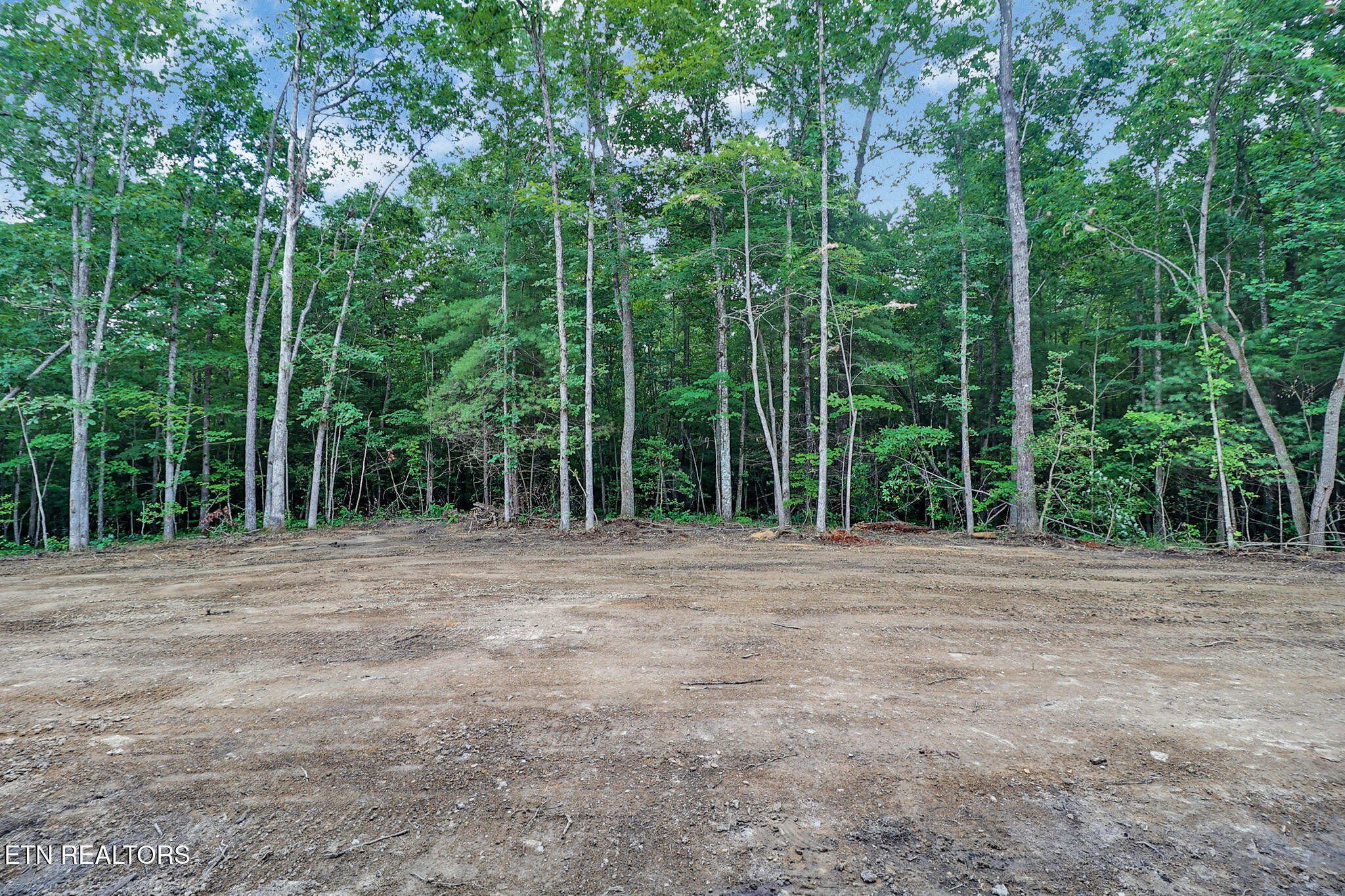 396 Georgee Road Jamestown, TN 38556 - Photo 9 of 38 n44a2244-n44a2248