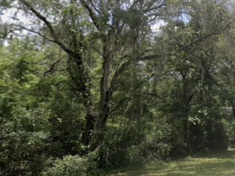 Lake Lindsey Road Bushnell, FL 33513 - Photo 2 of 4