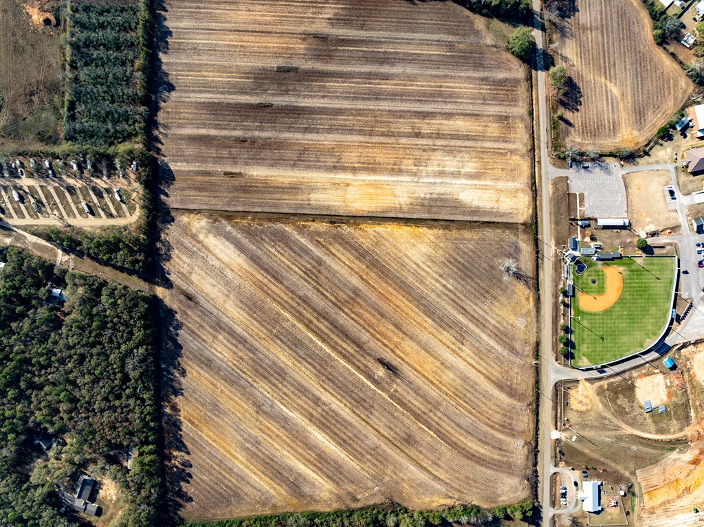51.8-ac Hadden Road Dothan, AL 36301 - Photo 4 of 43