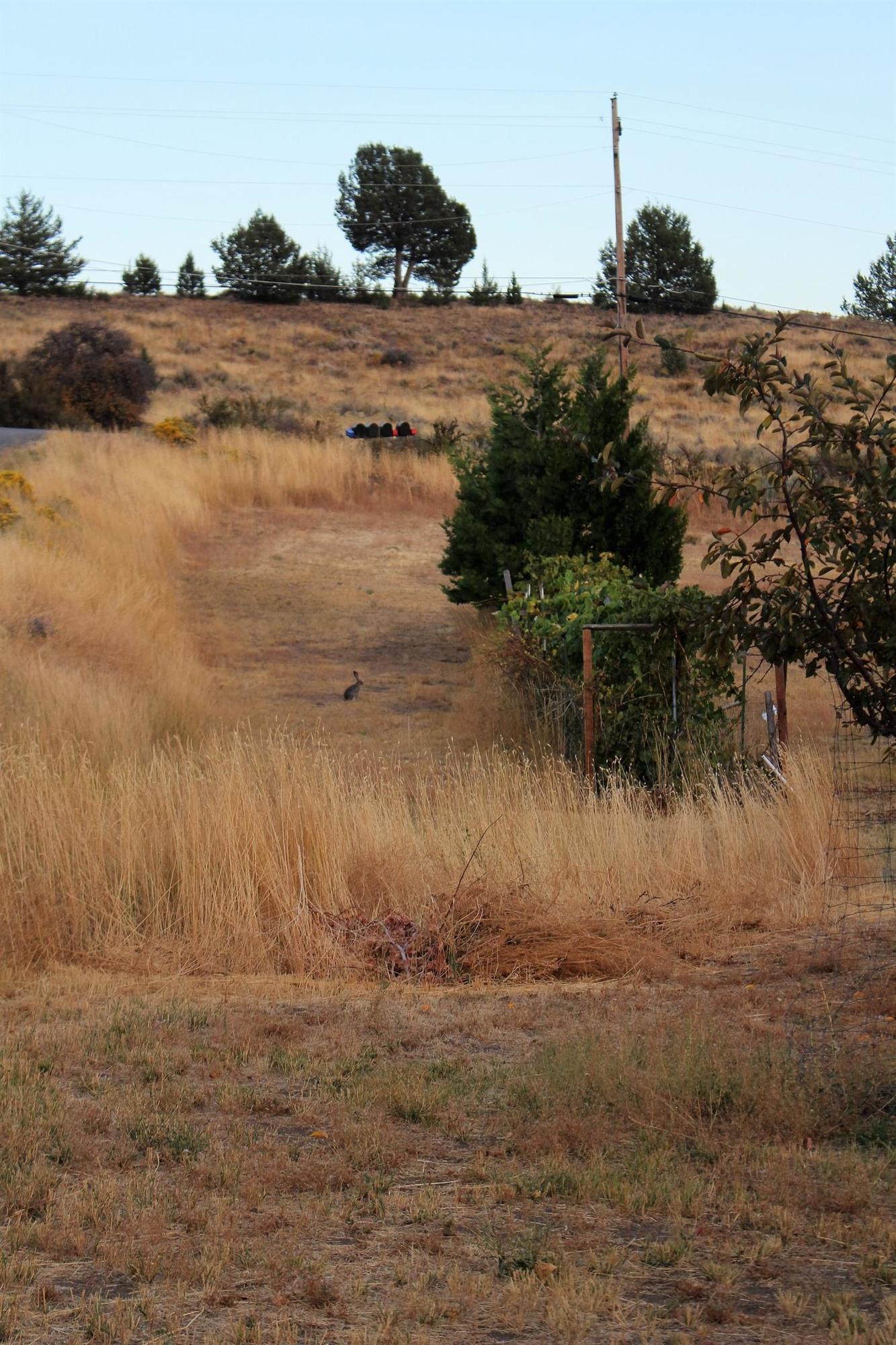 1950 Old Fort Road Klamath Falls, OR 97601 - Photo 6 of 13 Additional Photo