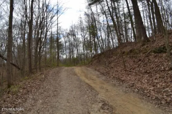 $79,000 | 10.79-ac Buffalo Road, Oneida, TN 37841