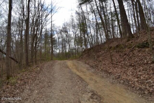 10.79-ac Buffalo Road Oneida, TN 37841 - Photo 11 of 47 DSC_0006