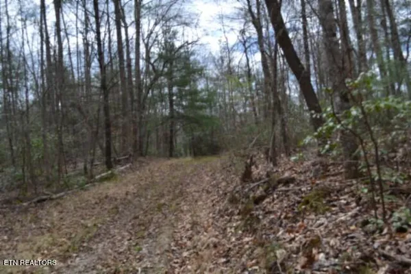 $79,000 | 10.79-ac Buffalo Road, Oneida, TN 37841