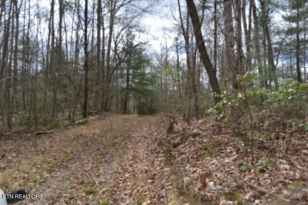 $79,000 | 10.79-ac Buffalo Road, Oneida, TN 37841