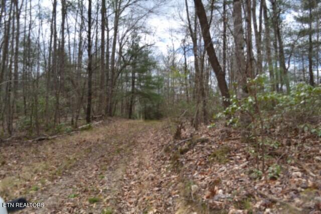 10.79-ac Buffalo Road Oneida, TN 37841 - Photo 13 of 47 DSC_0010