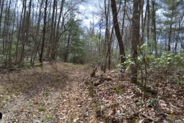 $79,000 | 10.79-ac Buffalo Road, Oneida, TN 37841