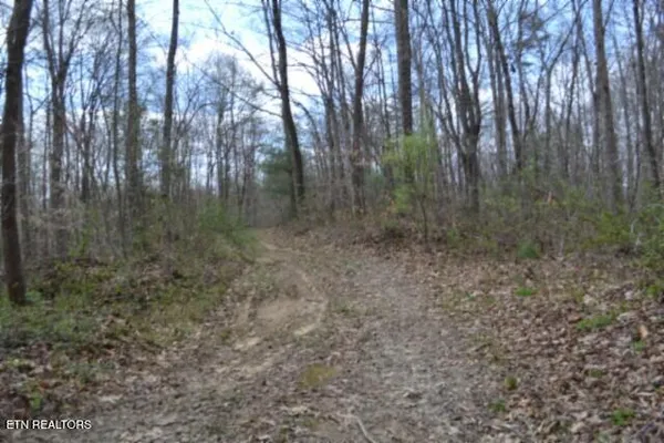 $79,000 | 10.79-ac Buffalo Road, Oneida, TN 37841