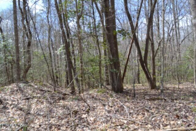 10.79-ac Buffalo Road Oneida, TN 37841 - Photo 16 of 47 DSC_0015