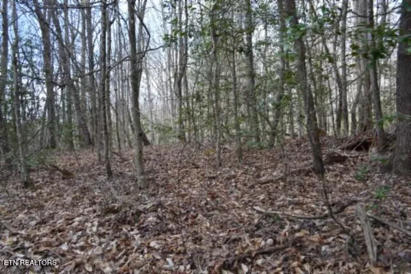 $79,000 | 10.79-ac Buffalo Road, Oneida, TN 37841