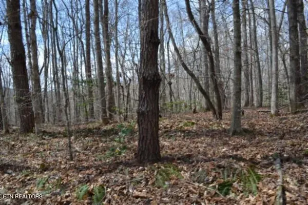$79,000 | 10.79-ac Buffalo Road, Oneida, TN 37841