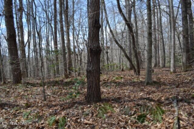 10.79-ac Buffalo Road Oneida, TN 37841 - Photo 18 of 47 DSC_0021