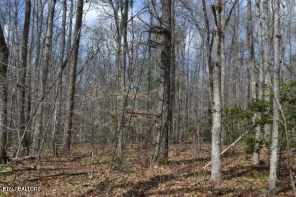 $79,000 | 10.79-ac Buffalo Road, Oneida, TN 37841