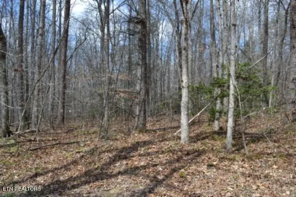 $79,000 | 10.79-ac Buffalo Road, Oneida, TN 37841