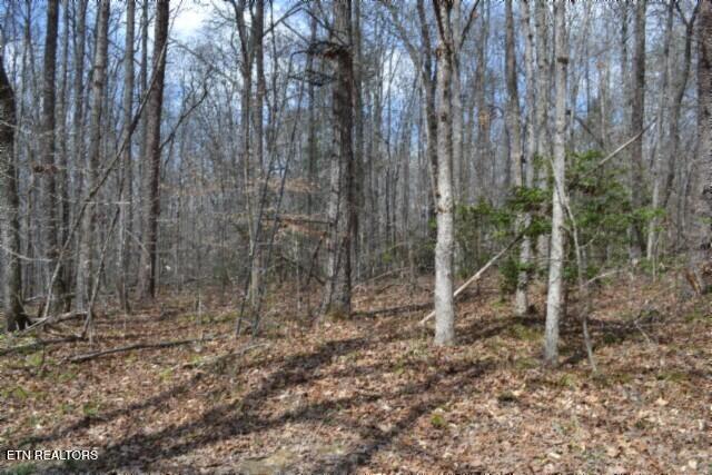 10.79-ac Buffalo Road Oneida, TN 37841 - Photo 20 of 47 DSC_0023