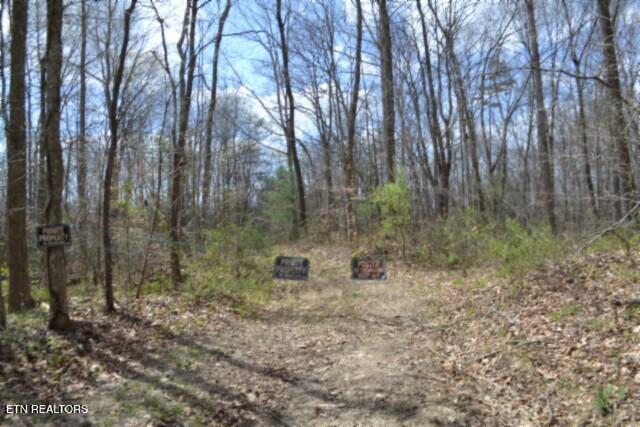 10.79-ac Buffalo Road Oneida, TN 37841 - Photo 2 of 47 CABLE GOING INTO THE PROPERTY ACCESS