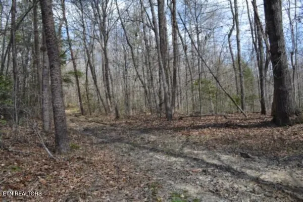 $79,000 | 10.79-ac Buffalo Road, Oneida, TN 37841
