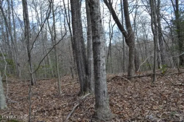 $79,000 | 10.79-ac Buffalo Road, Oneida, TN 37841