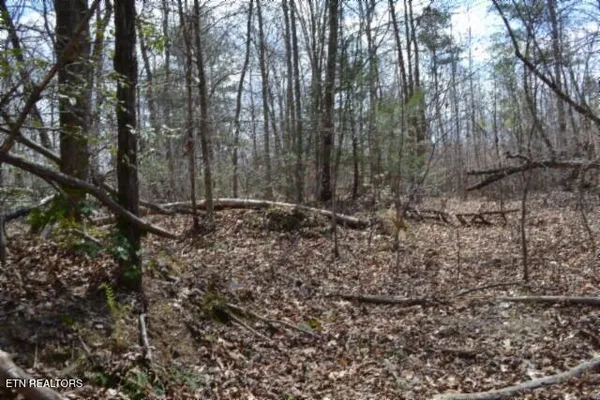 $79,000 | 10.79-ac Buffalo Road, Oneida, TN 37841