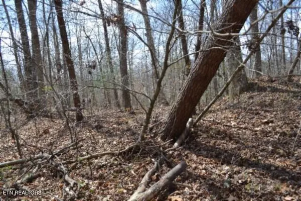$79,000 | 10.79-ac Buffalo Road, Oneida, TN 37841
