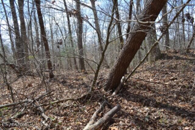 10.79-ac Buffalo Road Oneida, TN 37841 - Photo 24 of 47 DSC_0030