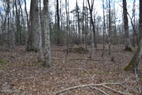 $79,000 | 10.79-ac Buffalo Road, Oneida, TN 37841